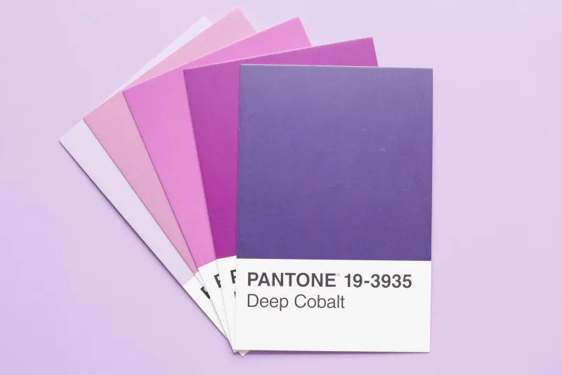 What Your Color Palette Is Screaming About You (And You Didn't Even Know It Was Loud)